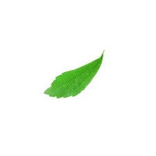 Rectangle 7 Articles / Event