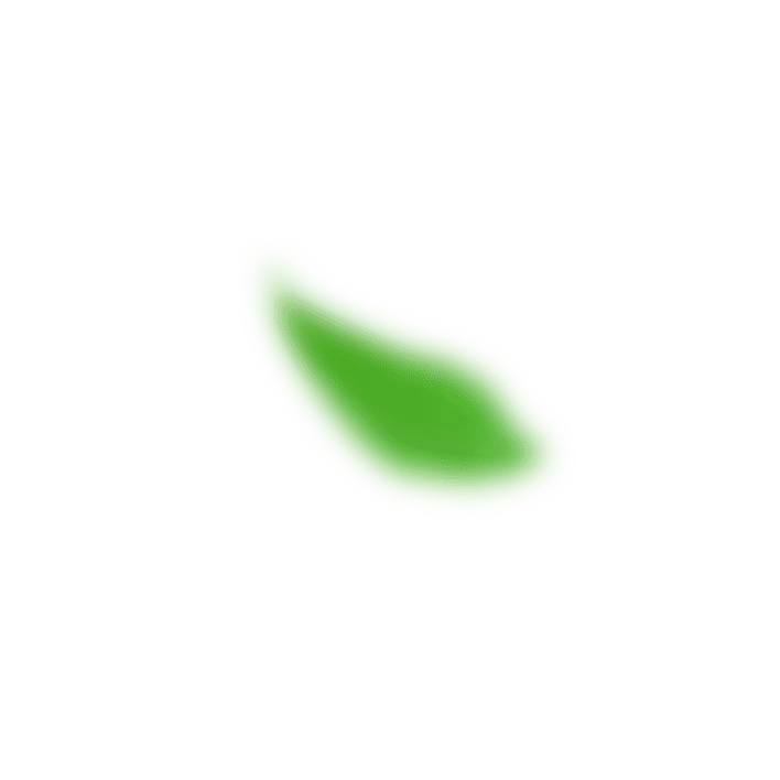 blurry leaf Landing Page